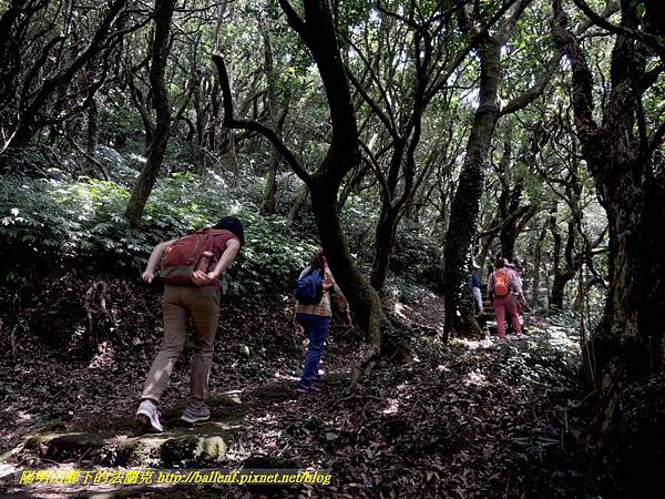 DSCN9052.jpg DSCN9052.jpg