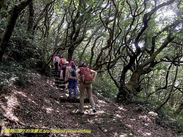 DSCN9053.jpg DSCN9053.jpg