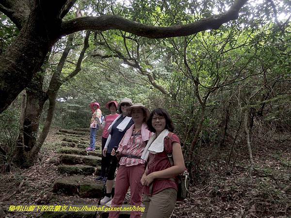 DSCN9058.jpg DSCN9058.jpg