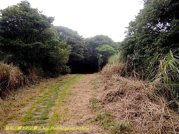 DSCN9070.jpg DSCN9070.jpg