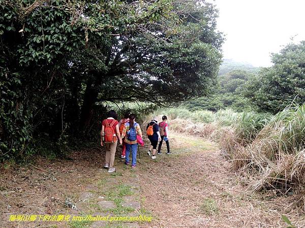 DSCN9072.jpg DSCN9072.jpg