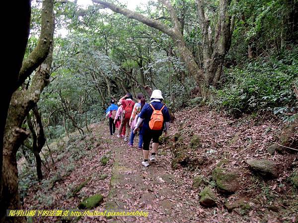 DSCN9074.jpg DSCN9074.jpg