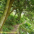 P1830501.jpg