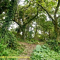 P1830503.jpg