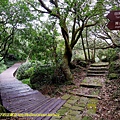 DSCN5149.jpg