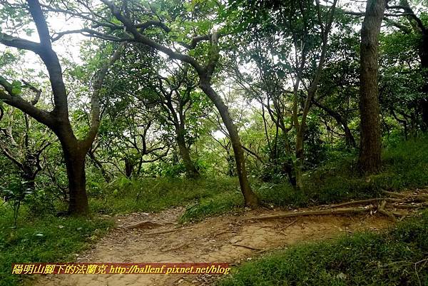 P1860954.jpg P1860954.jpg