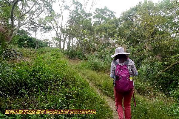 P1860960.jpg P1860960.jpg