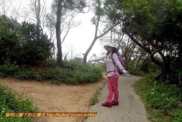 P1860969.jpg P1860969.jpg