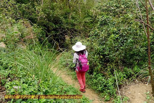 P1860982.jpg P1860982.jpg