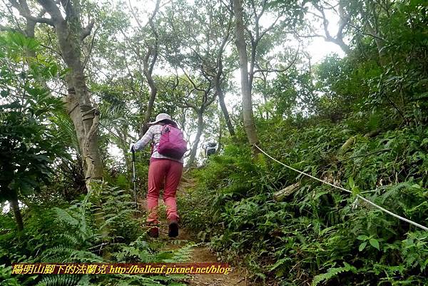 P1860992.jpg P1860992.jpg