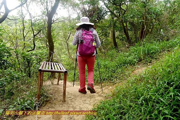 P1860993.jpg P1860993.jpg