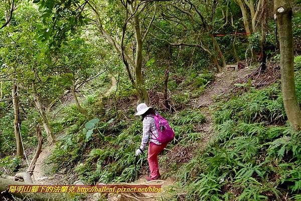 P1860995.jpg P1860995.jpg