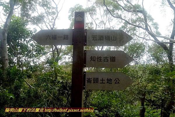 P1870012.jpg P1870012.jpg