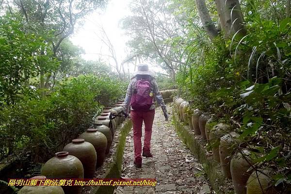 P1870016.jpg P1870016.jpg