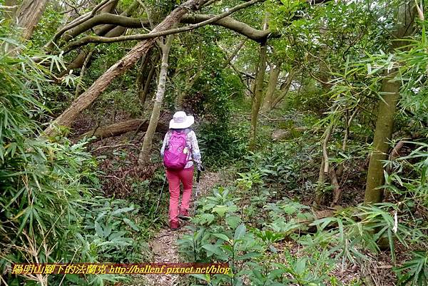 P1870020.jpg P1870020.jpg