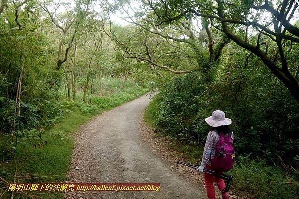 P1870045.jpg P1870045.jpg