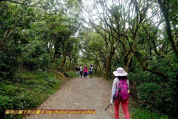 P1870047.jpg P1870047.jpg