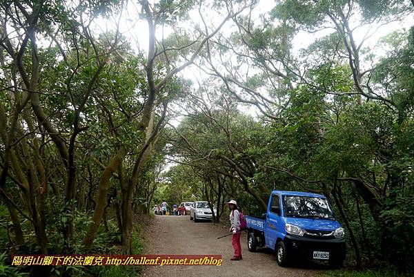 P1870050.jpg P1870050.jpg