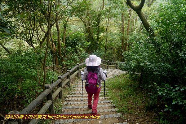 P1870059.jpg P1870059.jpg