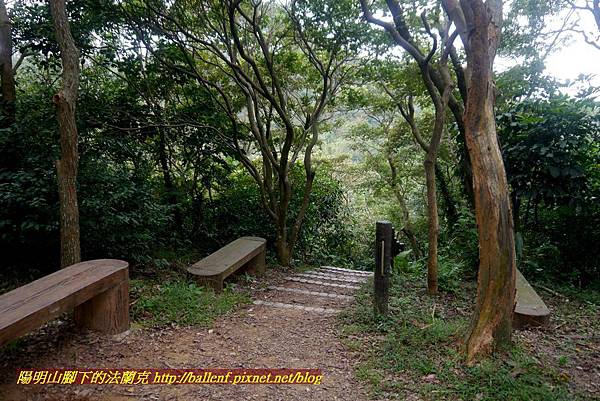 P1870063.jpg P1870063.jpg