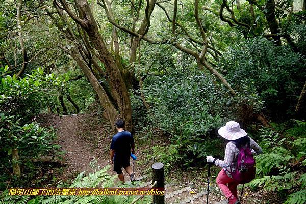 P1870066.jpg P1870066.jpg