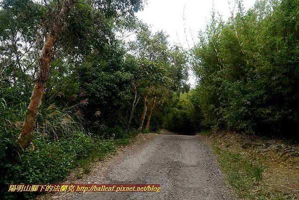 P1870090.jpg P1870090.jpg