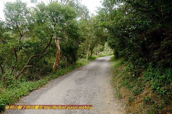 P1870093.jpg P1870093.jpg