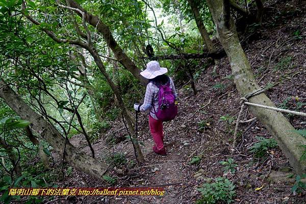 P1870098.jpg P1870098.jpg