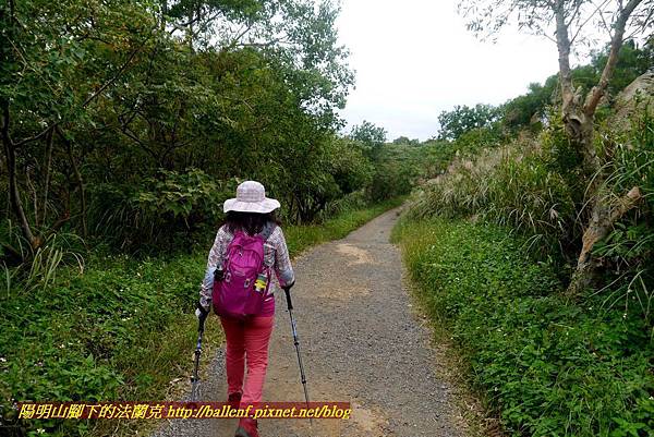 P1870114.jpg P1870114.jpg