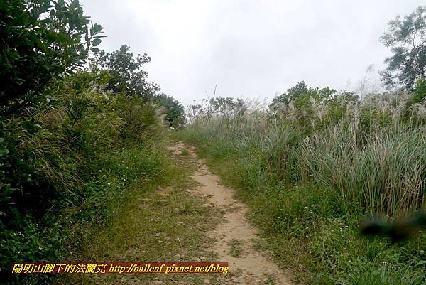 P1870117.jpg P1870117.jpg