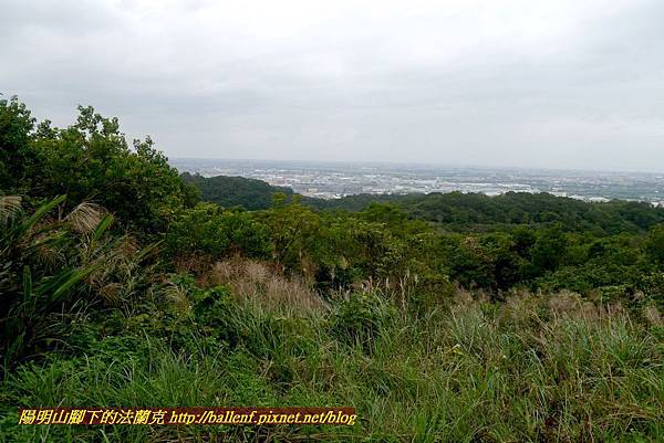 P1870122.jpg P1870122.jpg