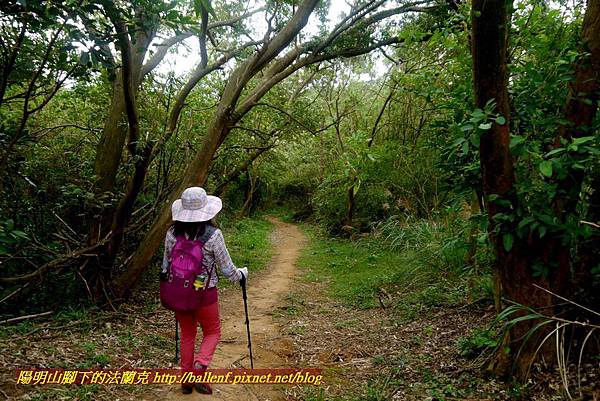 P1870126.jpg P1870126.jpg