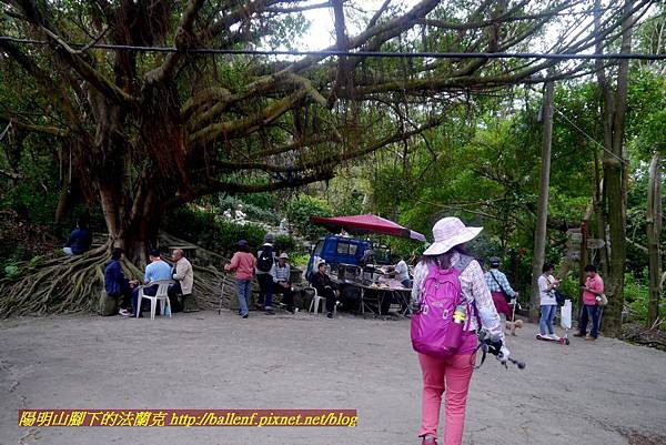 P1870131.jpg P1870131.jpg