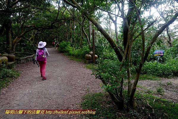 P1870135.jpg P1870135.jpg