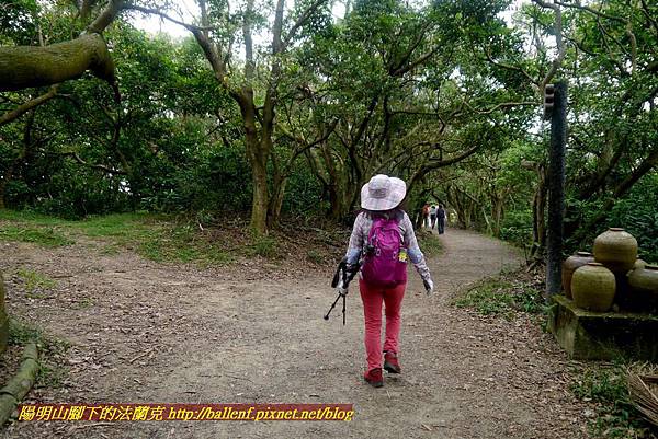 P1870136.jpg P1870136.jpg