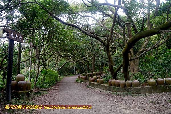 P1870138.jpg P1870138.jpg