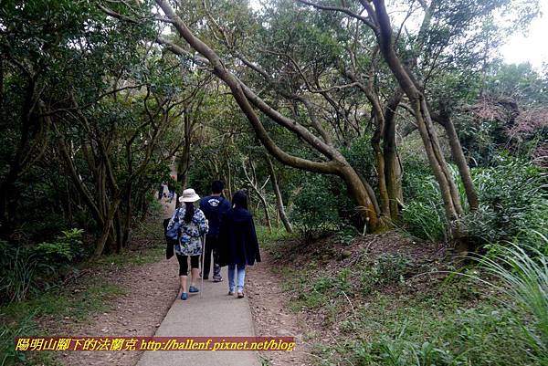 P1870147.jpg P1870147.jpg