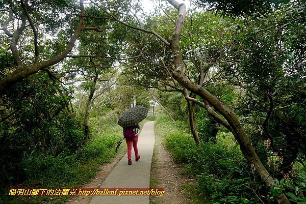 P1870152.jpg P1870152.jpg