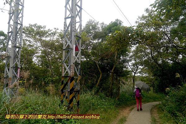 P1870153.jpg P1870153.jpg