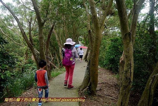 P1870160.jpg P1870160.jpg