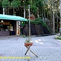 P1880034.jpg