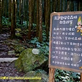 P1880046.jpg