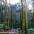 P1880047.jpg
