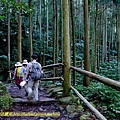 P1880051.jpg