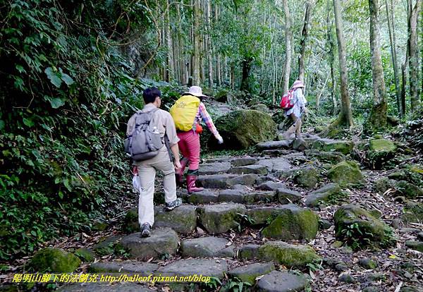 P1880055.jpg P1880055.jpg