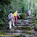 P1880055.jpg