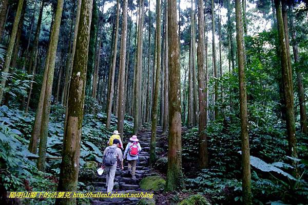 P1880060.jpg P1880060.jpg