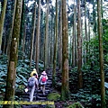 P1880060.jpg