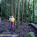 P1880061.jpg
