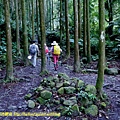 P1880062.jpg